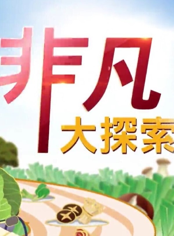 #自拍 #反差 #母狗 - 岛国爱情片
